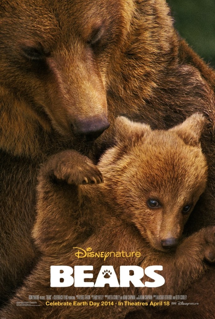 bears_xlg