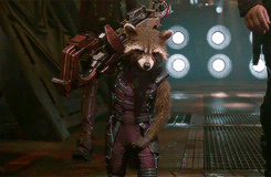 Rocket scratching his....um...yeah. (gif from tumblr.)