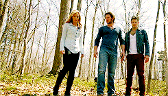 Bitten Werewolves Supernatural Kelley Armstrong Women of the Otherworld Laura Vanderdoort Elena Michaels Stonehaven Space Clayton Danvers Greyston Holt
